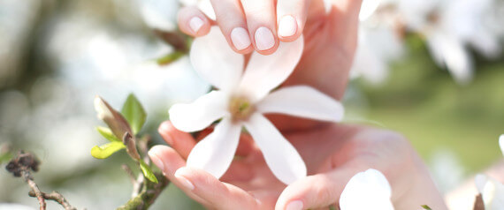 Female hands on a background of white magnolia flowers